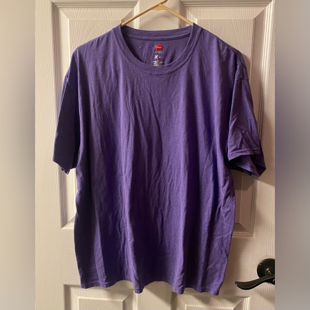 Hanes Men's Short Sleeve Tee in Purple